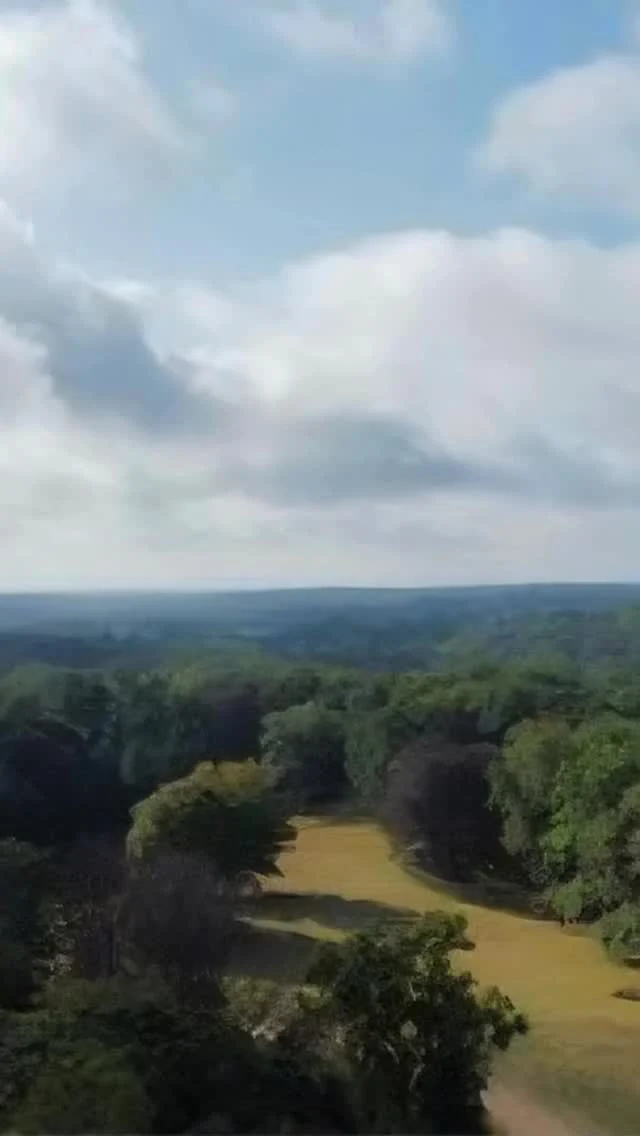 Something new is unfolding in New Canaan.
32 acres. One extraordinary address.
📍Brookwood Lane
For inquiries, please contact us at info@sbphomes.com 
Link in bio 👆

#BrookwoodLane #SBPHOMES #NewCanaanLiving #LuxuryRealEstate #newdevelopment